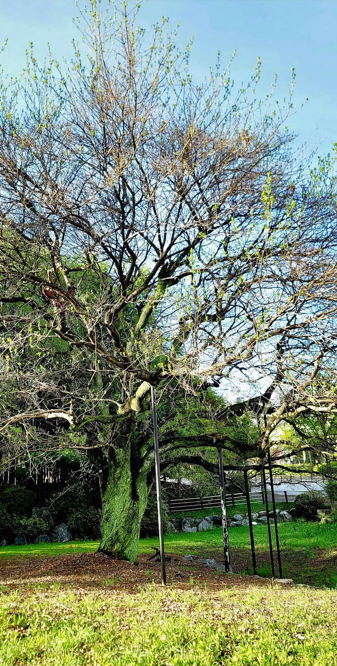 KakaoTalk_20250423_082854895_03.jpg