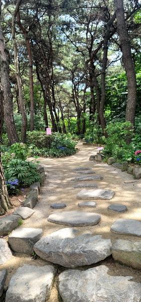 ksh_20230623벽초지_022.jpg