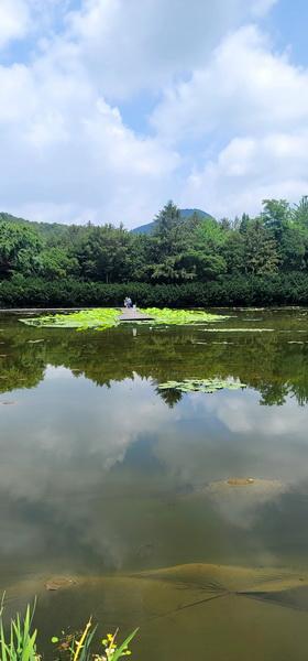 ksh_20230623벽초지_027.jpg