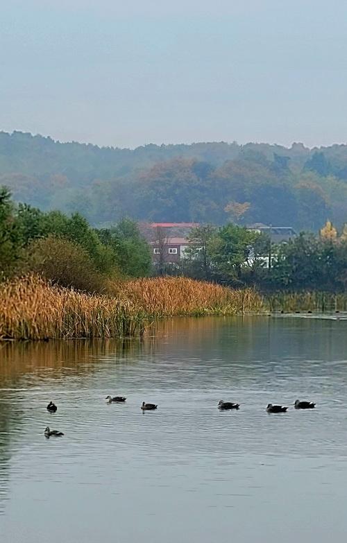 ksh20241101_025.jpg