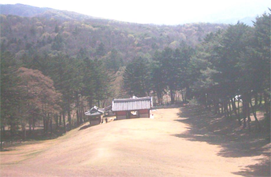 srw_view.jpg