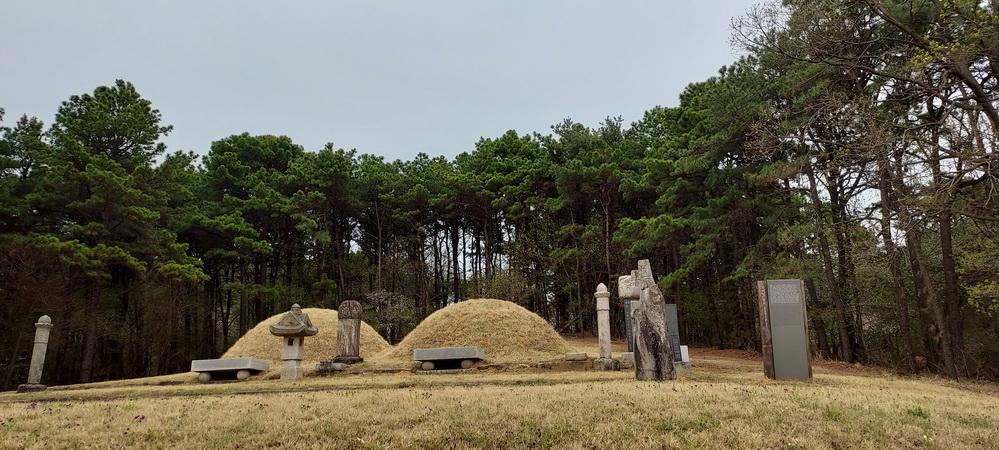 윤지임, 전의이씨 묘.jpg