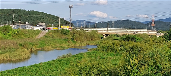 kth-jangseunnae.png