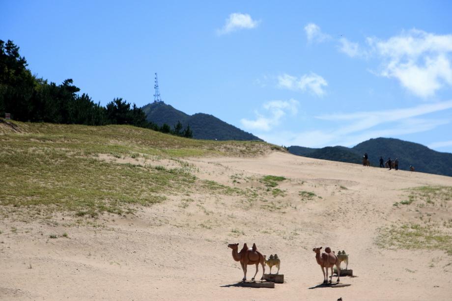 옥죽동 해안사구.jpg